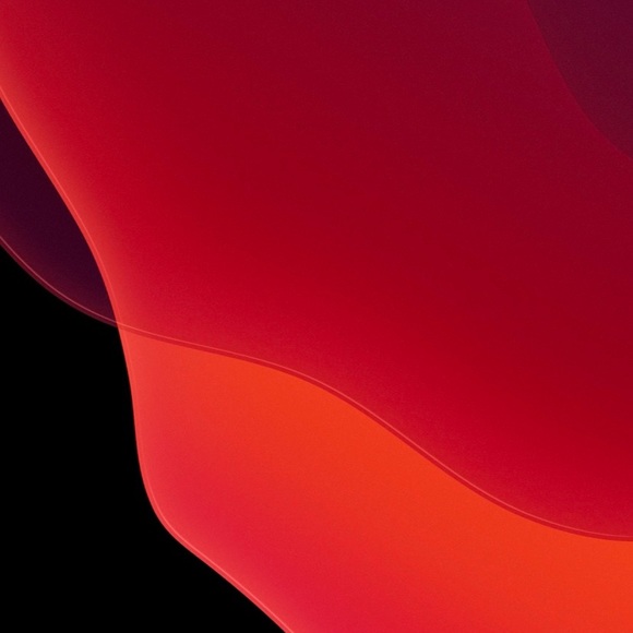 Meet your Posher, Mona - Picture 1 of 1